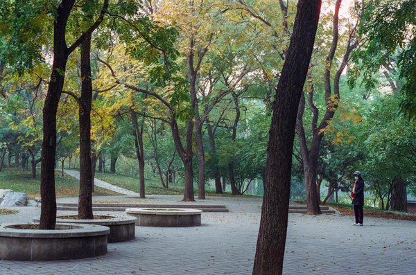 Can Virtual Reality Fitness Programs Help UK Residents Stay Active in Winter?